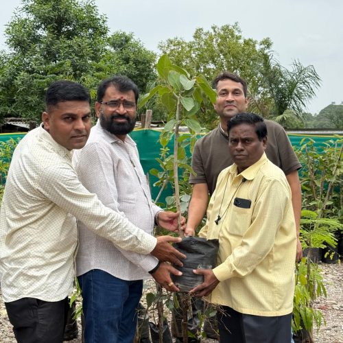 WhatsApp Image 2025-07-10 at 10.50.45 AM (1)