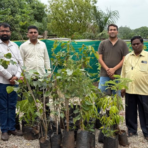 WhatsApp Image 2025-07-10 at 10.50.45 AM