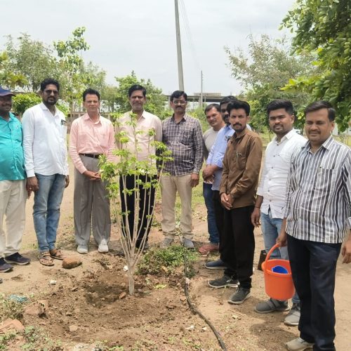 WhatsApp Image 2025-07-10 at 11.29.19 AM (2)