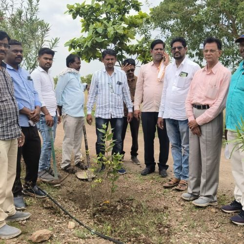 WhatsApp Image 2025-07-10 at 11.29.19 AM