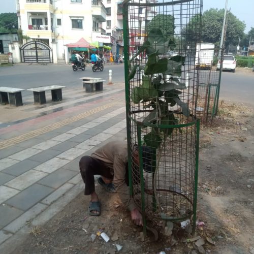 WhatsApp Image 2025-07-10 at 5.17.18 PM