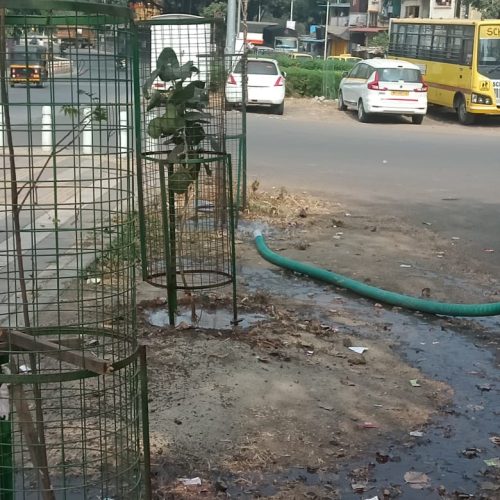 WhatsApp Image 2025-07-10 at 5.17.19 PM (1)