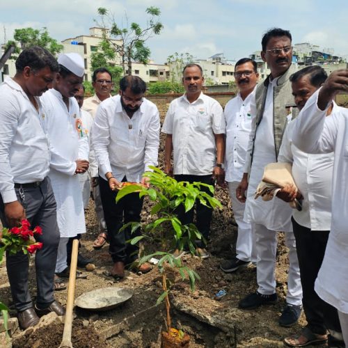 WhatsApp Image 2025-07-11 at 11.38.47 AM