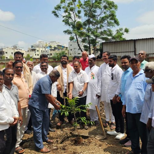 WhatsApp Image 2025-07-11 at 11.38.48 AM