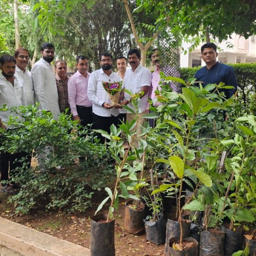 WhatsApp Image 2025-07-11 at 11.38.52 AM