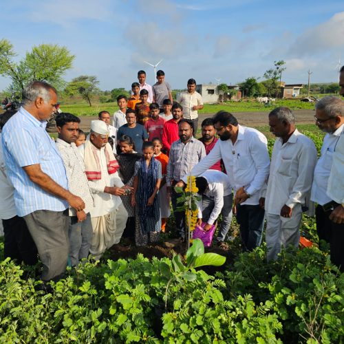 WhatsApp Image 2025-07-11 at 12.25.46 PM